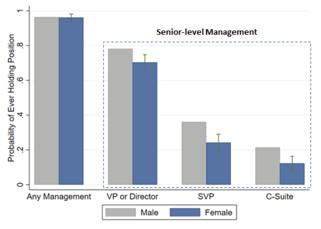 Grap of probability of ،lding manage position by gender